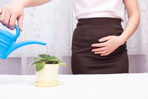 Traitements possibles pour l'incontinence par impériosité